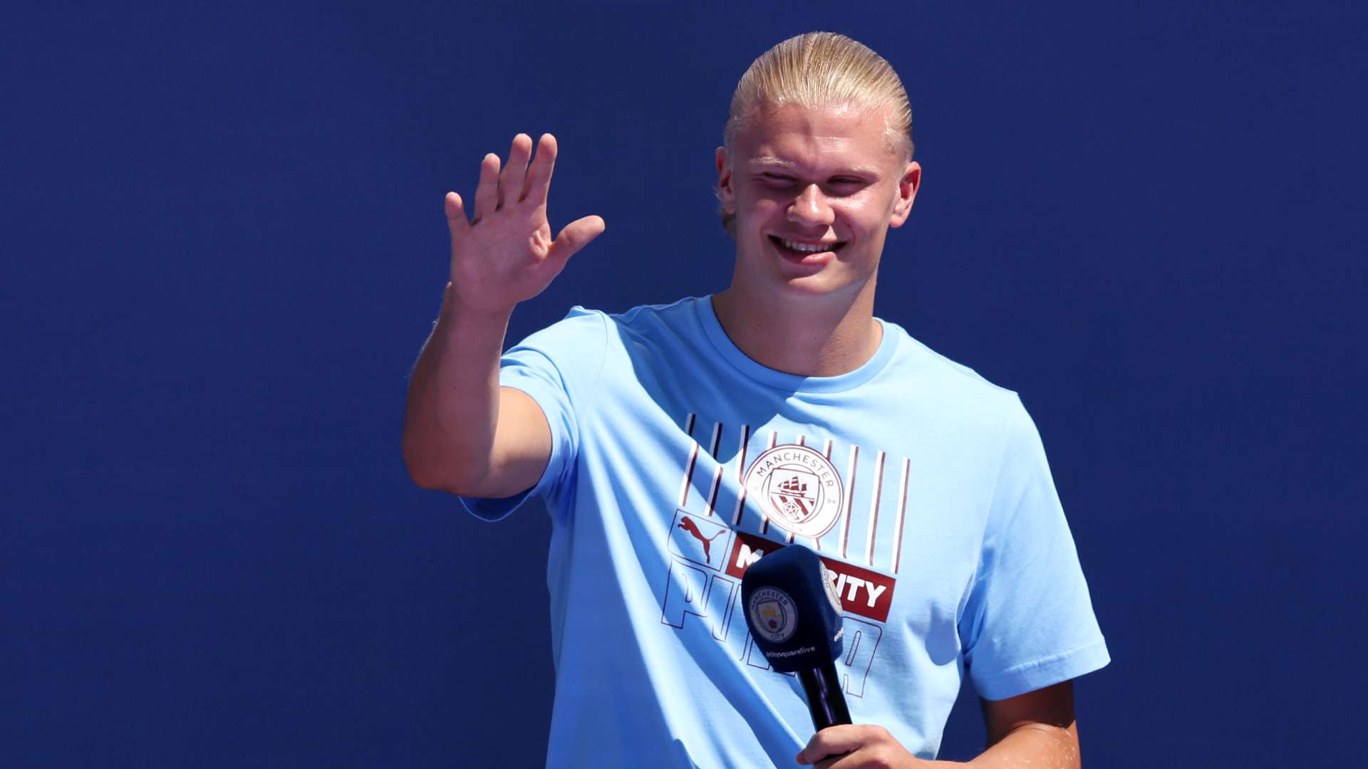 坛的霸主 坛的霸主